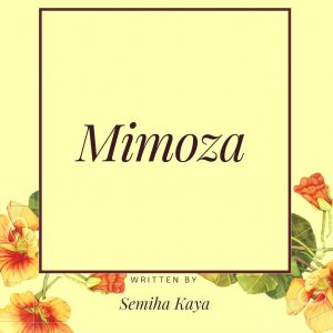 mimoza-semiha-kaya-efsunlublog